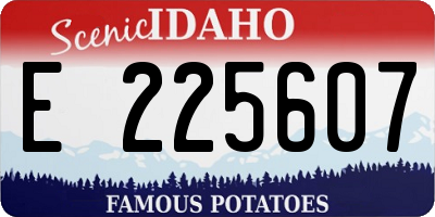 ID license plate E225607