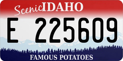ID license plate E225609