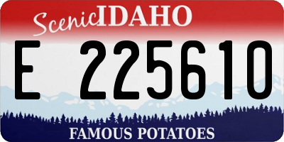 ID license plate E225610