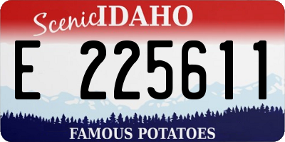 ID license plate E225611