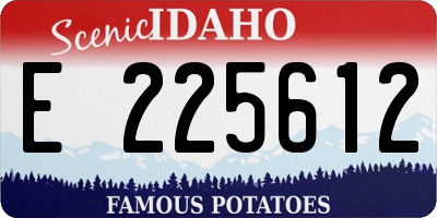 ID license plate E225612