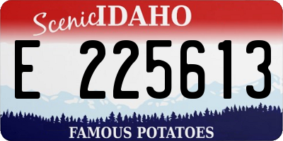 ID license plate E225613