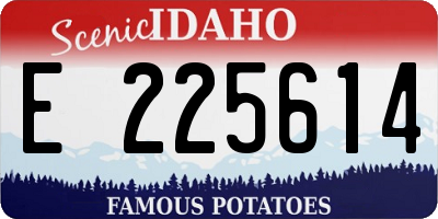 ID license plate E225614
