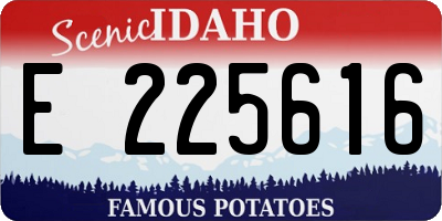ID license plate E225616