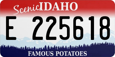 ID license plate E225618