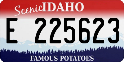 ID license plate E225623