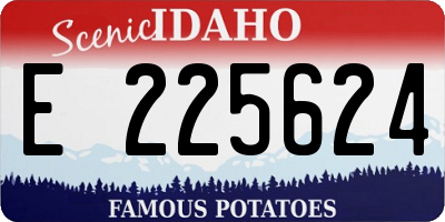 ID license plate E225624