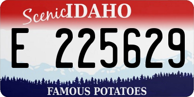 ID license plate E225629