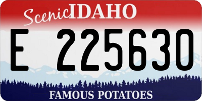 ID license plate E225630
