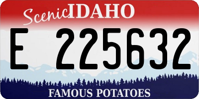 ID license plate E225632