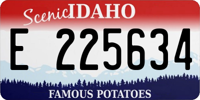 ID license plate E225634
