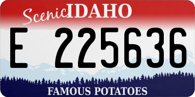 ID license plate E225636