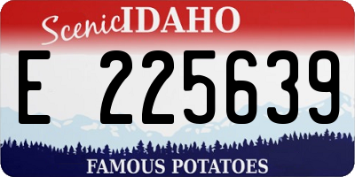 ID license plate E225639