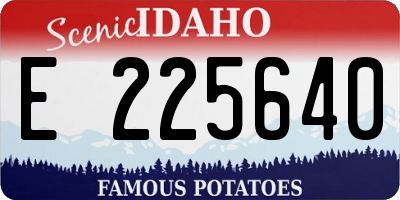 ID license plate E225640