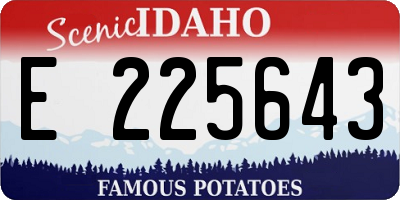 ID license plate E225643