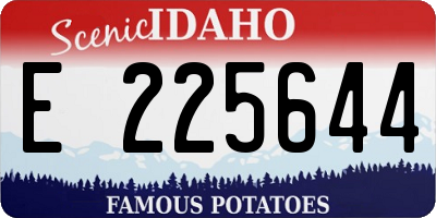 ID license plate E225644