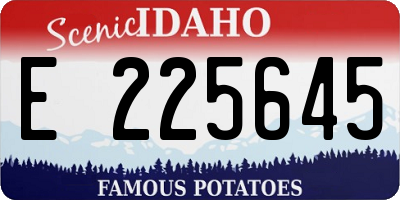 ID license plate E225645