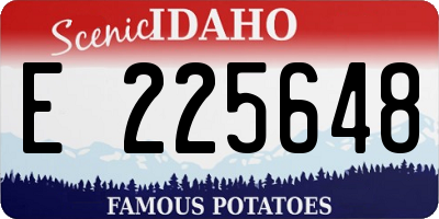 ID license plate E225648