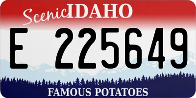 ID license plate E225649