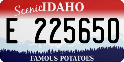 ID license plate E225650