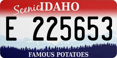 ID license plate E225653
