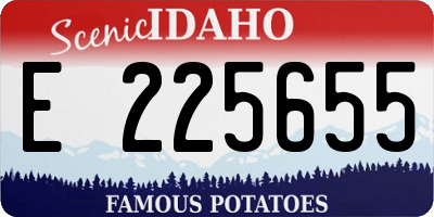 ID license plate E225655