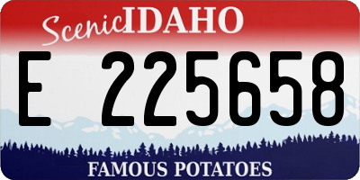 ID license plate E225658
