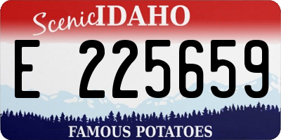 ID license plate E225659