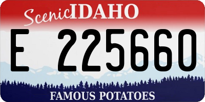 ID license plate E225660
