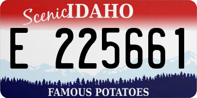 ID license plate E225661