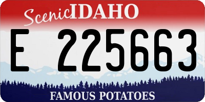 ID license plate E225663
