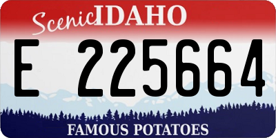 ID license plate E225664