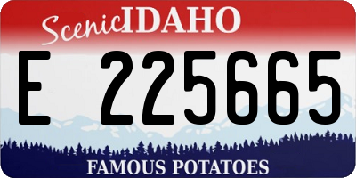 ID license plate E225665