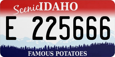 ID license plate E225666