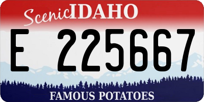 ID license plate E225667