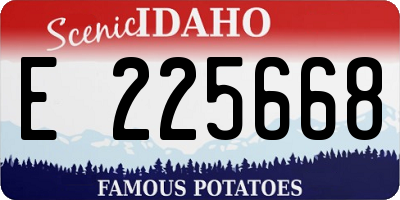 ID license plate E225668