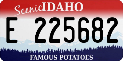ID license plate E225682