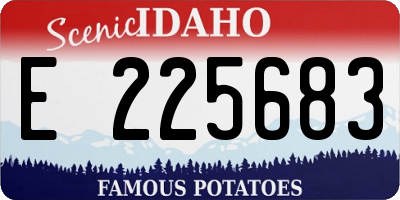 ID license plate E225683