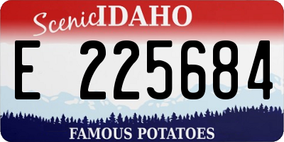 ID license plate E225684