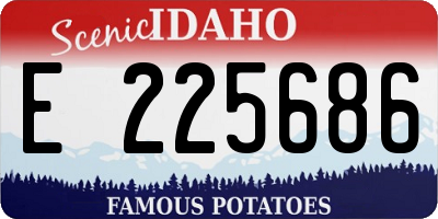 ID license plate E225686