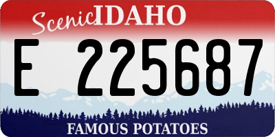 ID license plate E225687