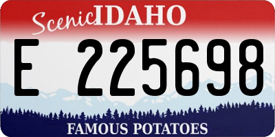 ID license plate E225698