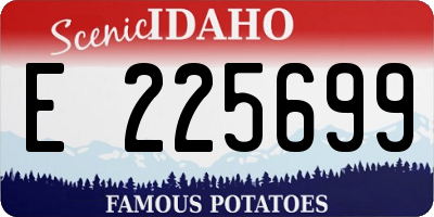 ID license plate E225699