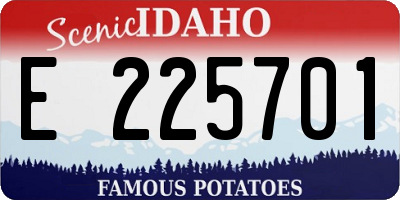 ID license plate E225701