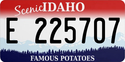 ID license plate E225707
