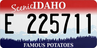 ID license plate E225711