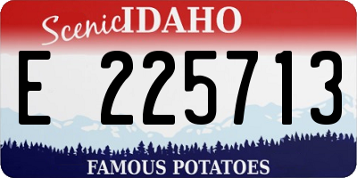 ID license plate E225713