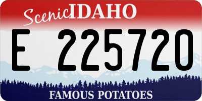 ID license plate E225720
