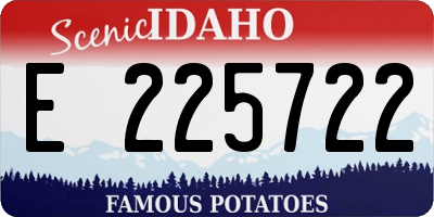 ID license plate E225722