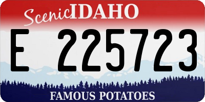 ID license plate E225723